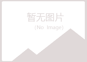 宁夏忆山化学有限公司